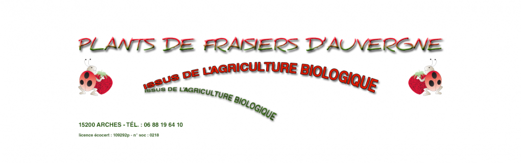 Logo plants de fraisiers bio - Jean Chirent
