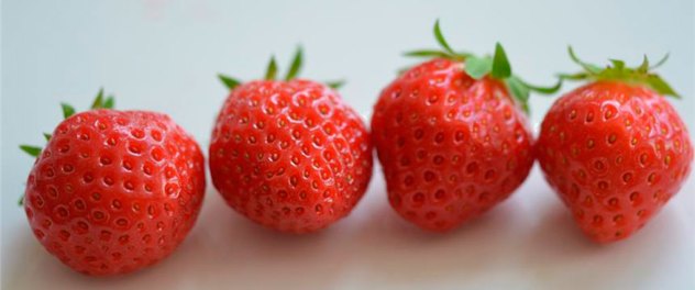 plants de fraisier bio rubi
